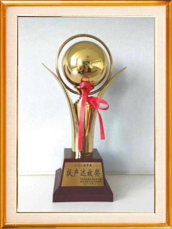 Professional License