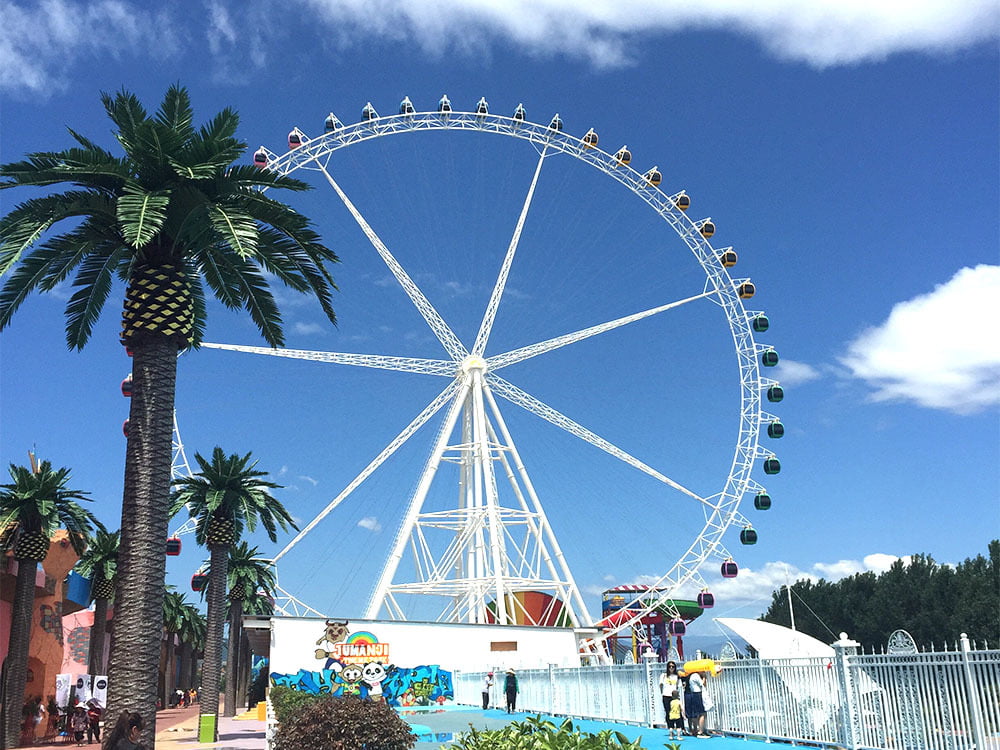 89m Steel Cable Ferris Wheel  3