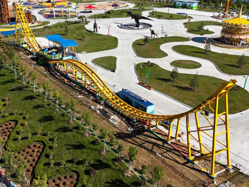 W-Type Dream Flying Car